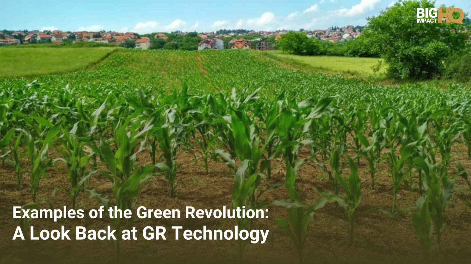 examples-of-the-green-revolution-a-look-back-at-gr-technology